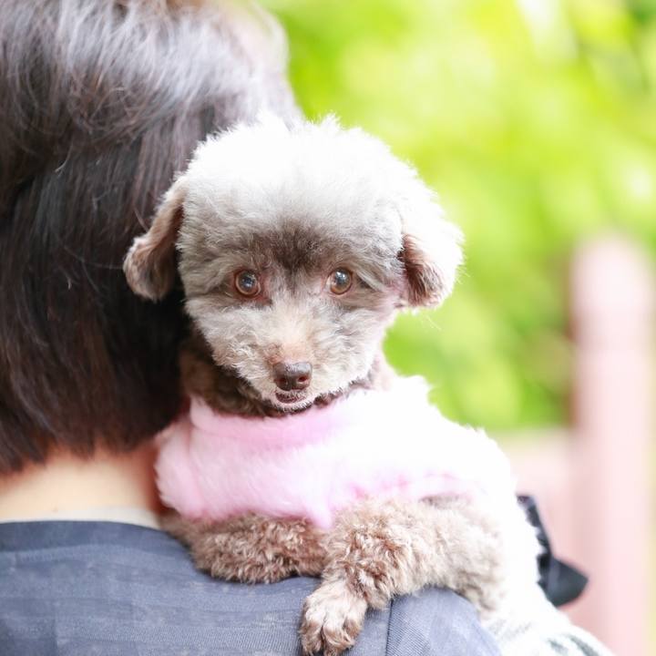 8ae93fa1 bcd8 4866 97ce b2614a7bf9a3 1651879078035