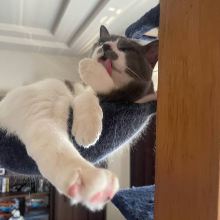 8ae9465f 3c9d 4667 8e12 94c60b9cf17d 1686976342307