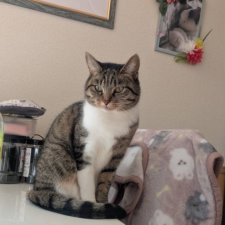 8ae99d56 92d6 42c3 bac6 eebf5bd2c469 1766102495874