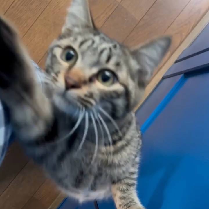 8ae9a583 ee3b 48b8 a476 f79a196862b3 1734427022800