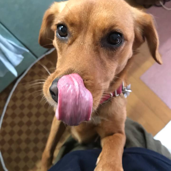 8ae9cdf5 9e4d 4177 89a7 5e61129a35a7 1549886233039