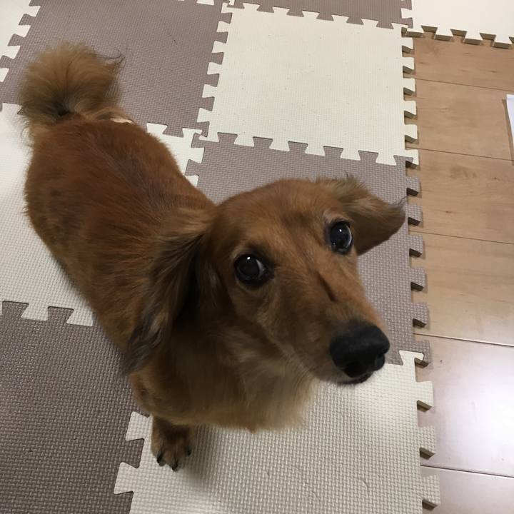 8ae9dcb4 04f7 47f8 b20e 60433871cbc7 1537969104858