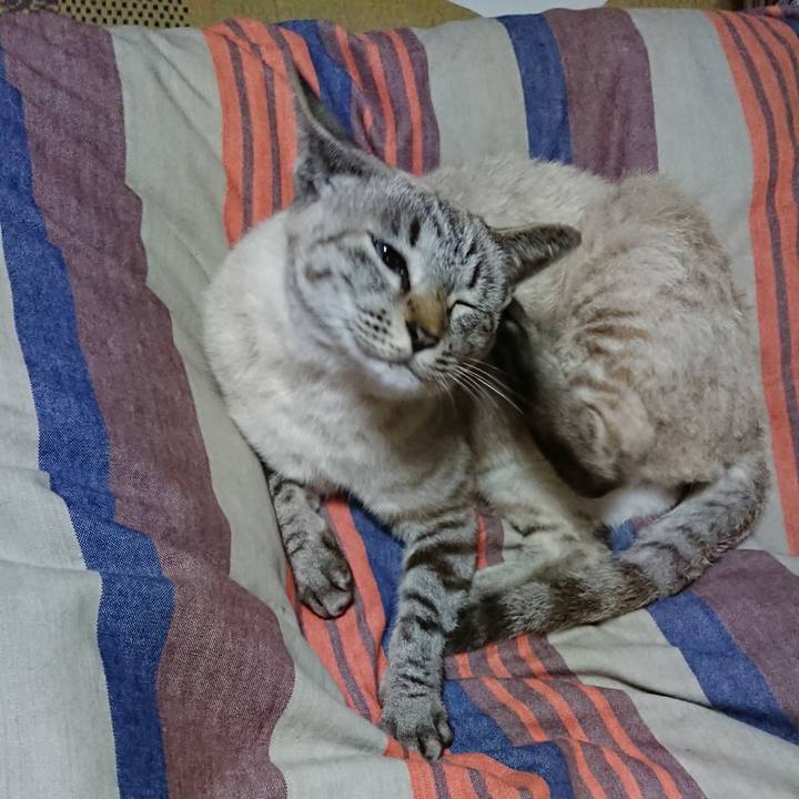 8ae9df8e 96f6 4b7b 9587 58d739469cbd 1529798454432