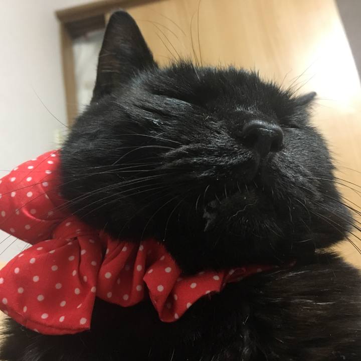 8ae9e9e4 33f7 42fe 9053 afde8cd1f9e9 1552138704088