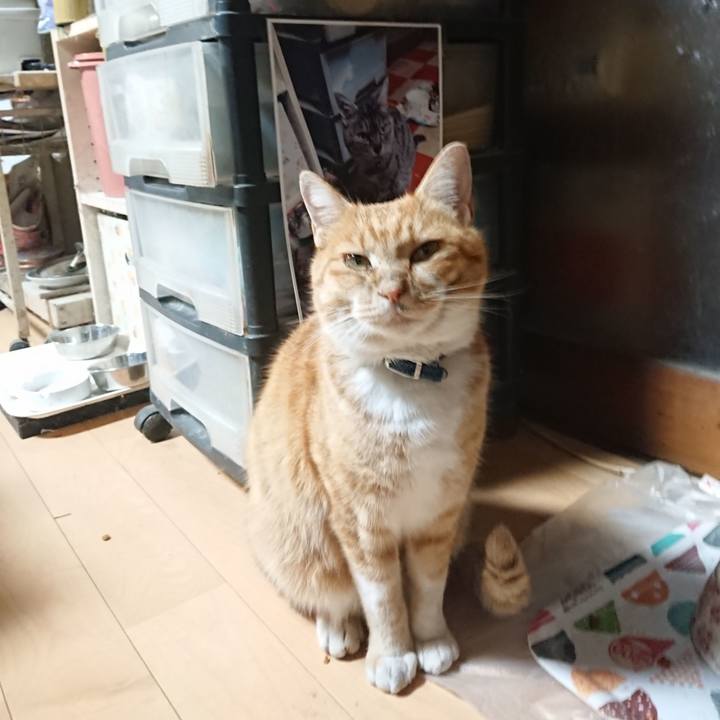 8aea7994 dbb0 4167 ad4a 7d6a6871a8a7 1605257878984