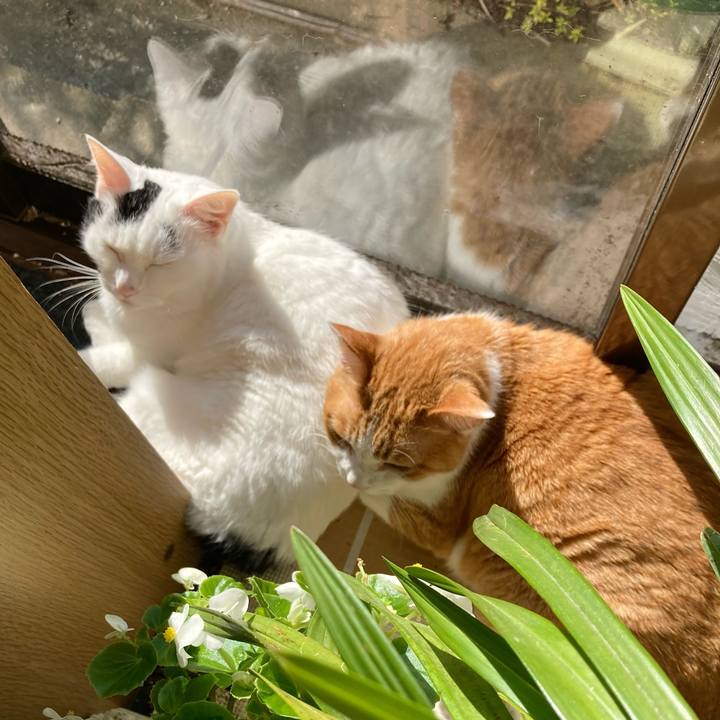 8aea9767 cf8a 4fbb b068 ecdd43fd04d3 1639532376634