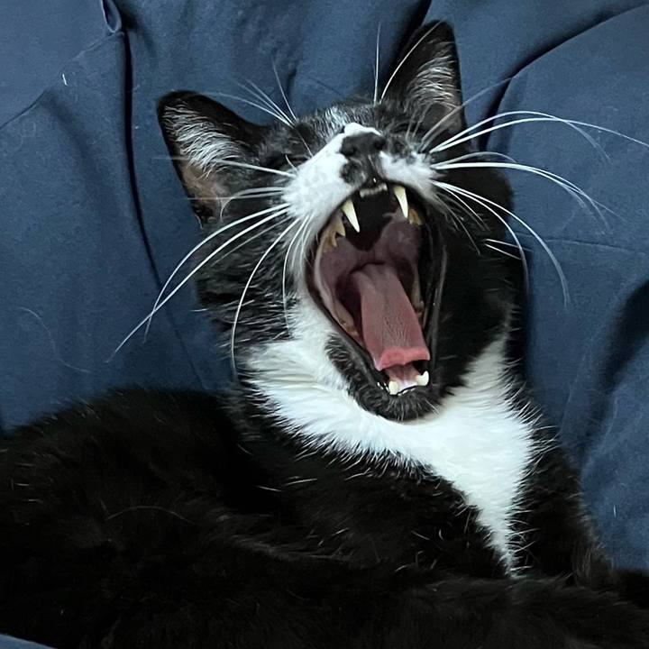 8aeab08f c343 4191 a6bd 360ccfaeea93 1668656292658