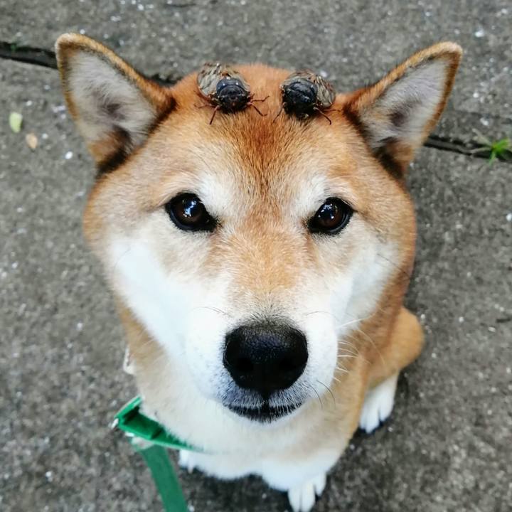 8aead9ef 7b08 403a 9829 ccd56122142a 1629370405807