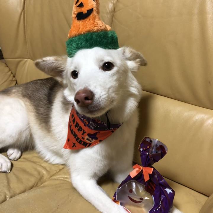 8aeb4287 d9bc 4575 814f 1f028a46105a 1540990564000