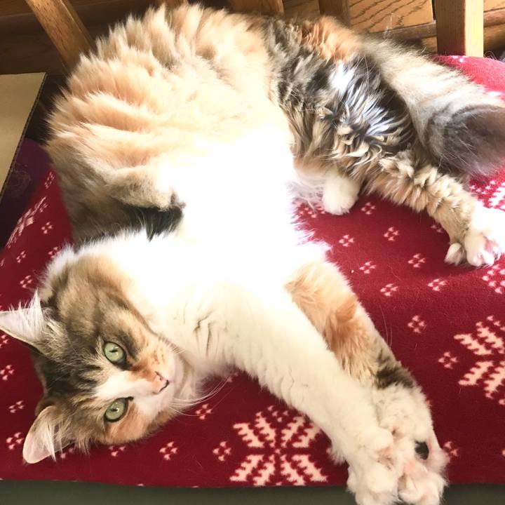 8aeb5c27 af1d 4ec6 bcb6 2142e36515ea 1556919943363