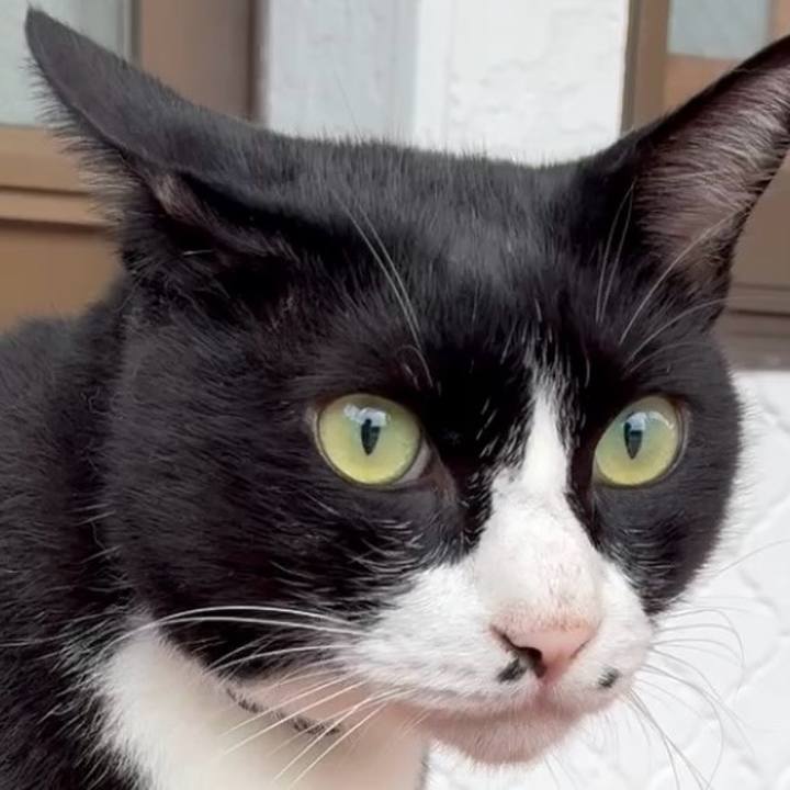 8aeb6ac6 d1c7 41ec baba 646844006b71 1758938890650