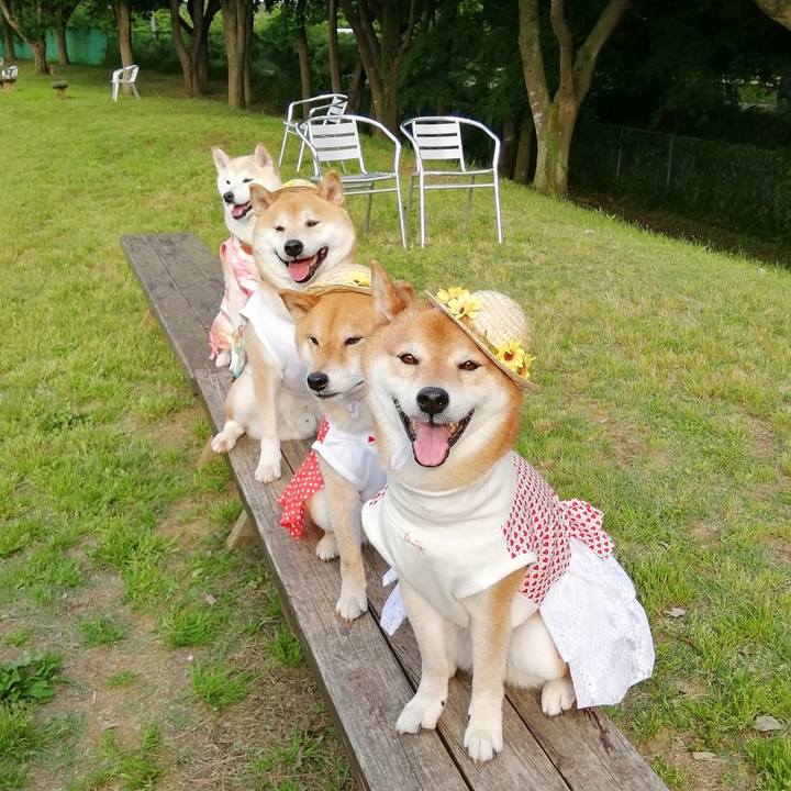 8aeb6c12 efc3 45dc 8ce8 2e1a2ee939c7 1653819637411