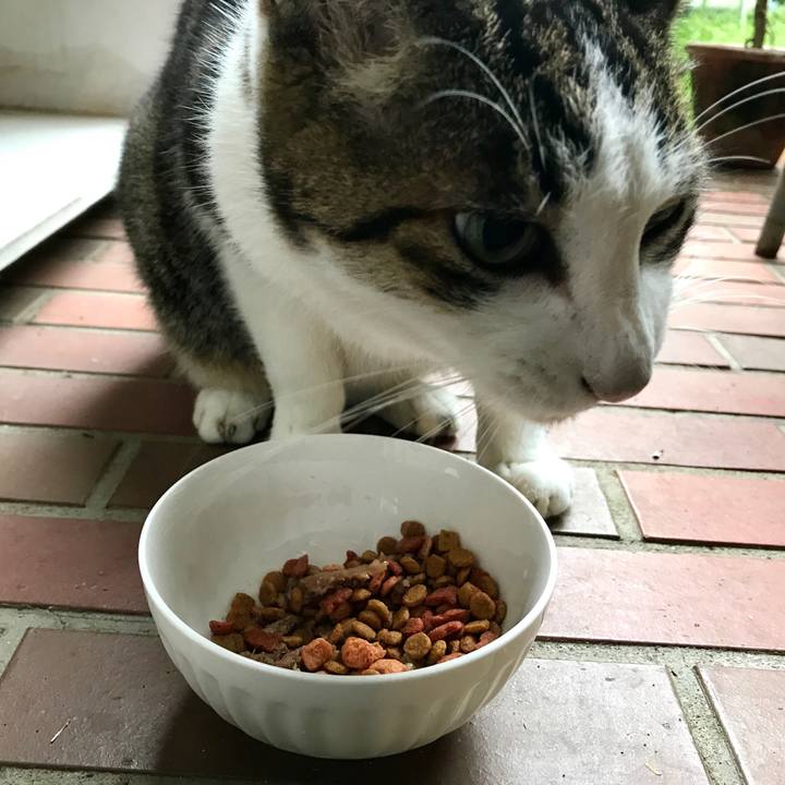 8aebf822 0c62 4282 9f48 32ae318b5e44 1508475085882