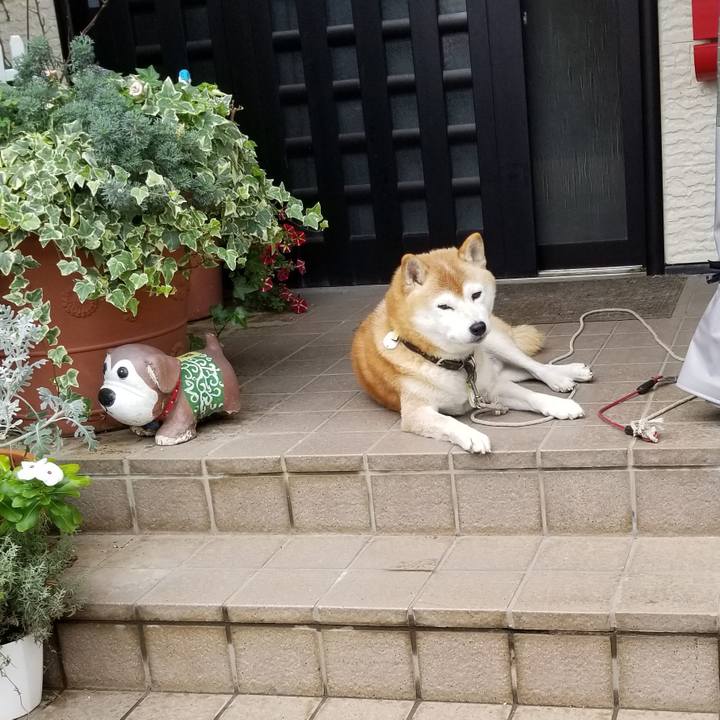 8aec168c 8210 45db 9311 86e396a480fb 1665370249717