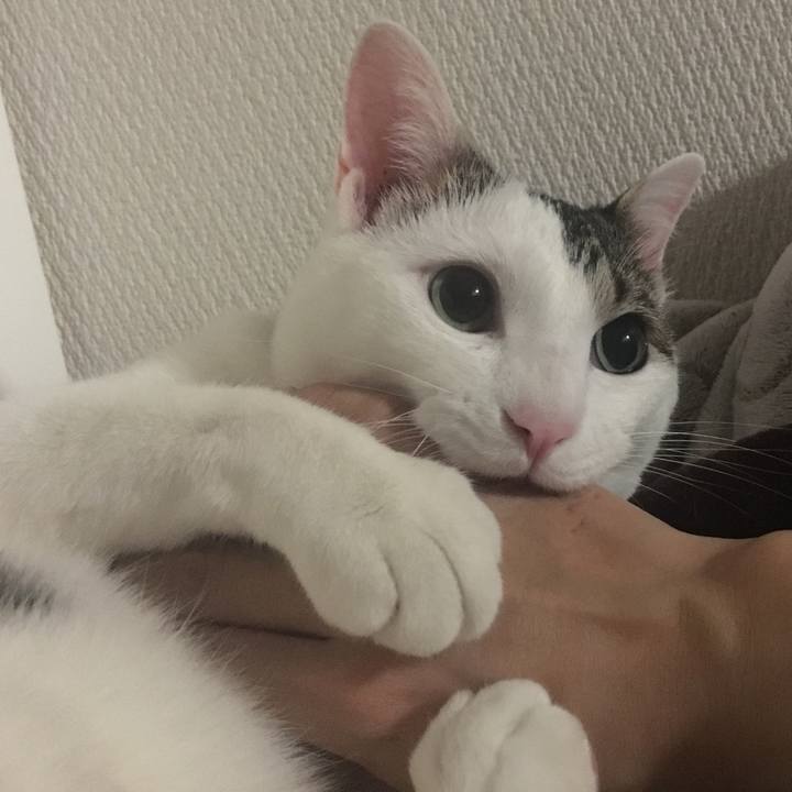 8aec444e 2f06 439e a72f 01de82383e63 1524719599836