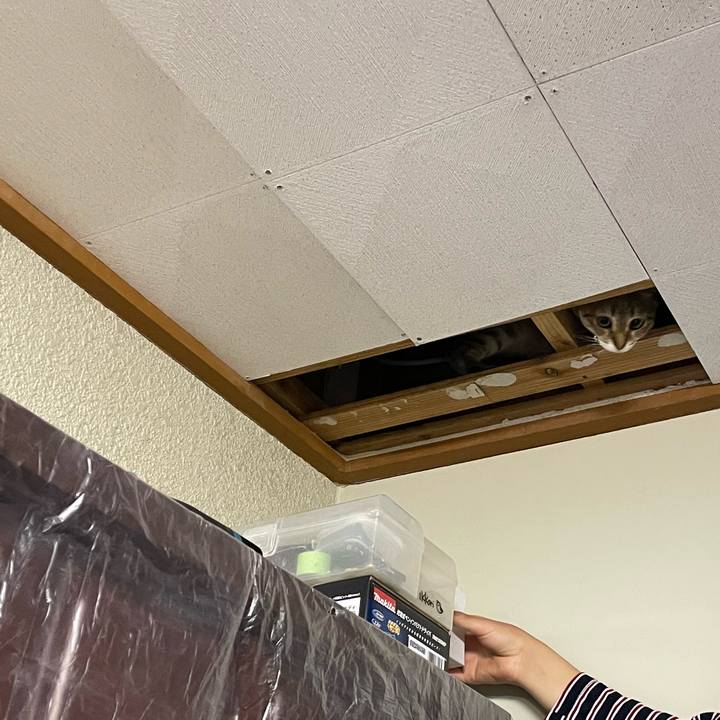 8aec575f 2da4 4023 854f e4f9770517bf 1713250085909