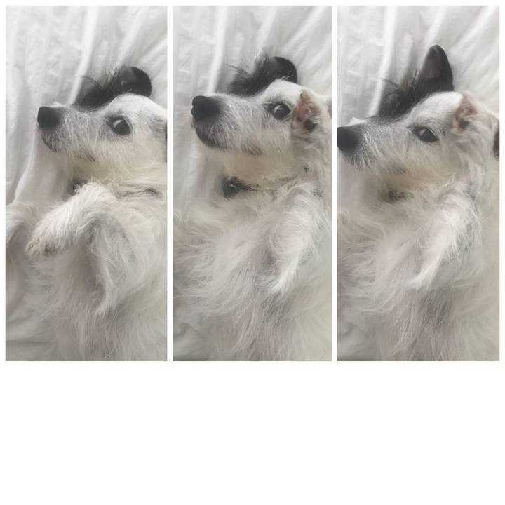 8aec6071 1857 435b 80e4 3c4ff40febba 1532997624730