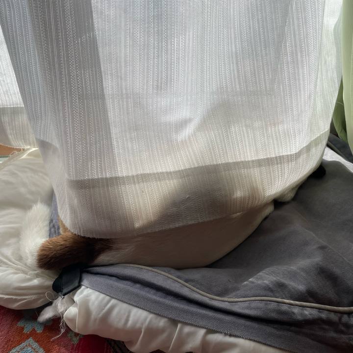 8aec7d10 82df 43fd ac16 84200887832d 1691365393402