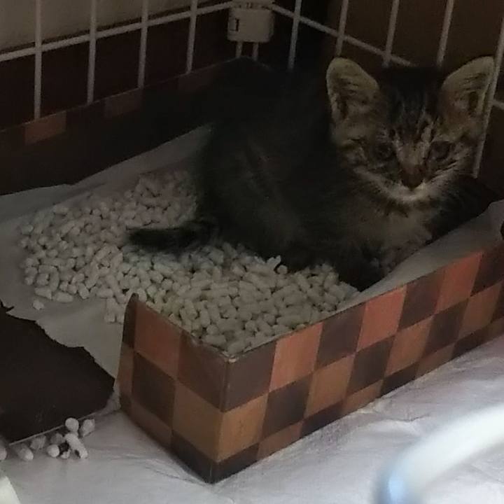 8aec8f71 2847 41fd 9c52 f4171d29698e 1632006137952