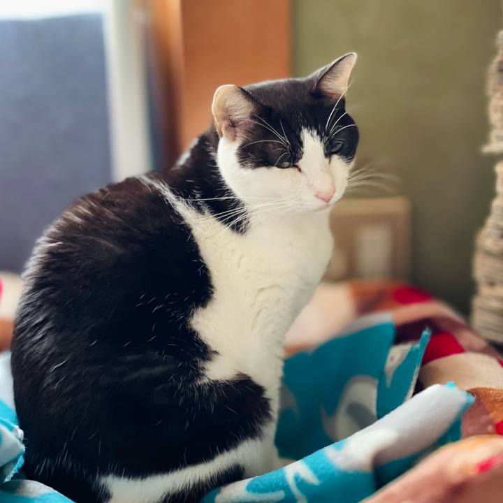 8aecaa63 86ff 4b84 9567 bb5696f4ee55 1636682166529