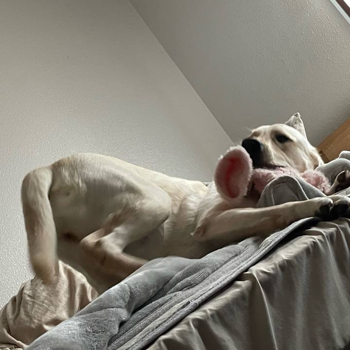 8aecded4 0fad 41d7 ab57 2b92a51c0756 1641267836993