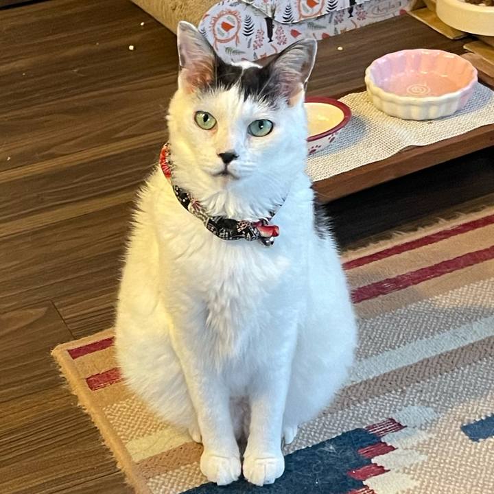 8aed2e45 74d6 4e92 9ba6 fb213241ce7f 1724239806843