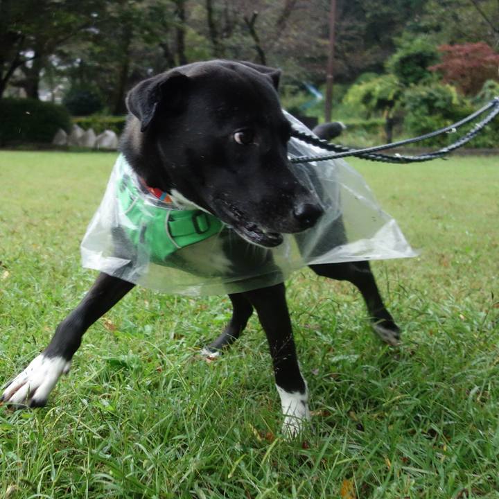 8aed3de9 a29a 4214 8b1b 43459b5dc0f2 1602201793162