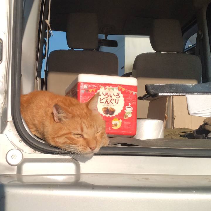 8aed6d97 7f9e 463a 8f6c 1b984ab9d012 1753915153585