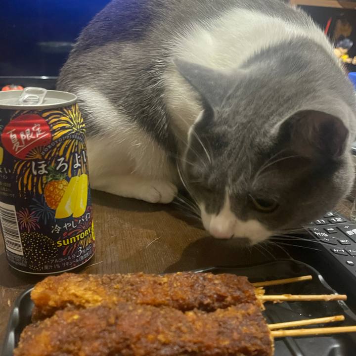 8aed77a6 0dd1 4bb4 a38d 1dd67c1a5264 1627221085048