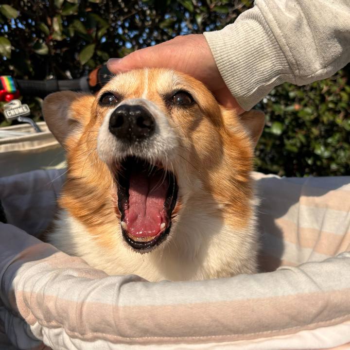 8aede913 458c 4b61 8bc3 d8b4612dcbd9 1770865317958