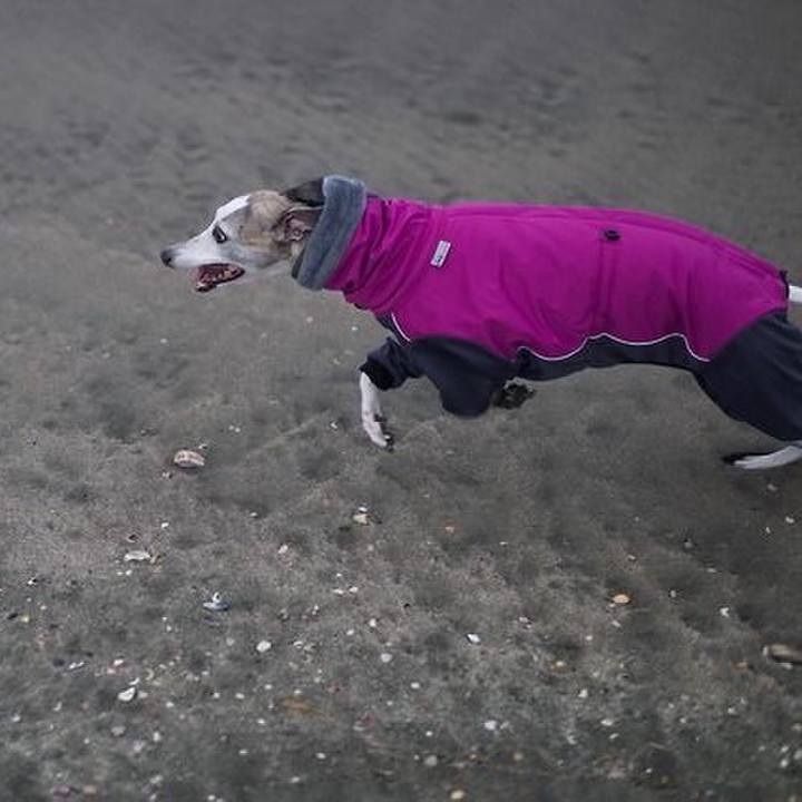 8aee31a1 2d36 4476 b17a 6009d0e3562d 1518349891427