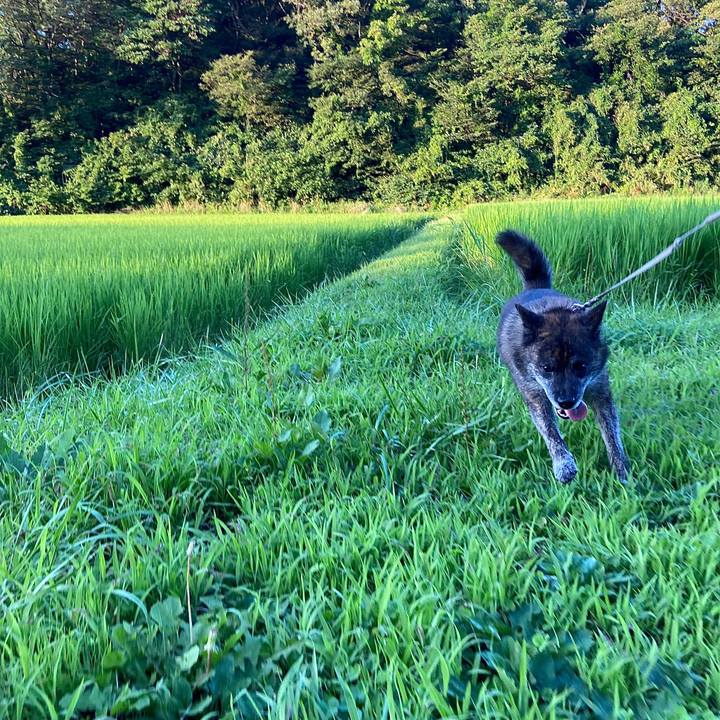 8aee3a00 45ec 4081 ab6e 84deb767cfb6 1596279575785