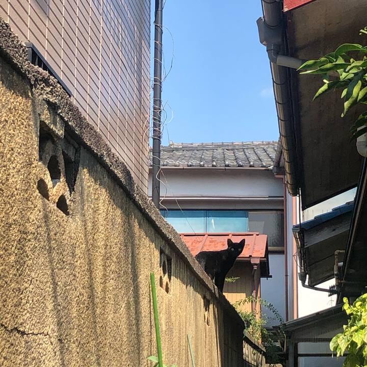 8aee4b0a dd9e 4fa0 8edc 2881c3bd5d92 1599976366047