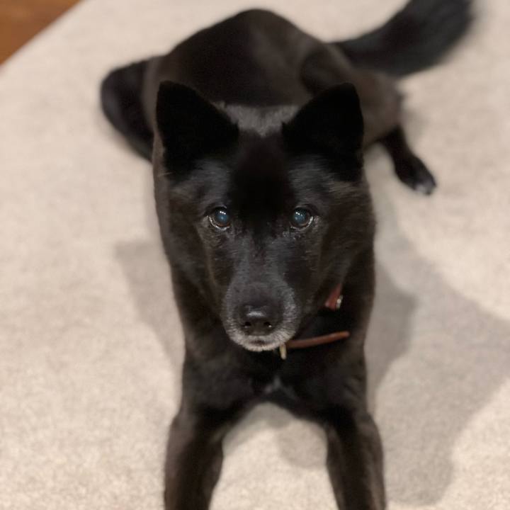 8aee51b6 9c59 485d a767 de2c6333dd9b 1736608496818