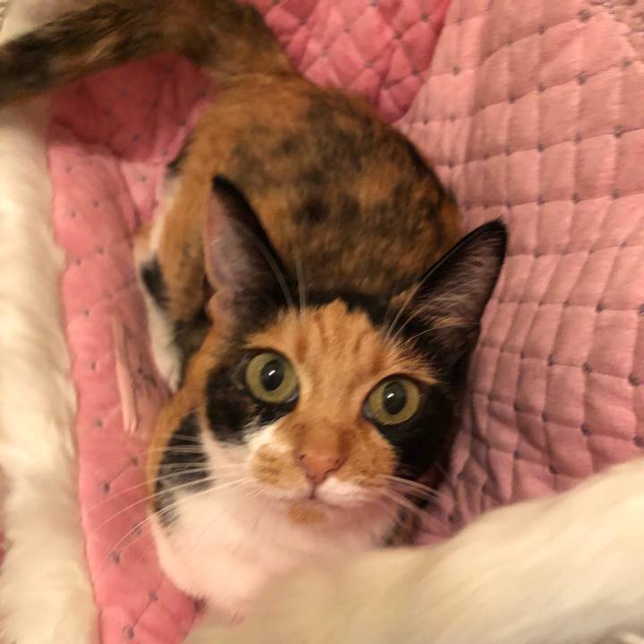 8aee585c 9942 4b02 9118 2ec316ce3a7f 1536068601655