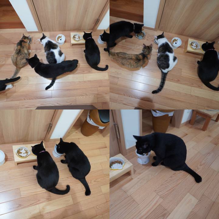 8aee66ce 76c8 405a 8690 ddcebd14657f 1598570032509