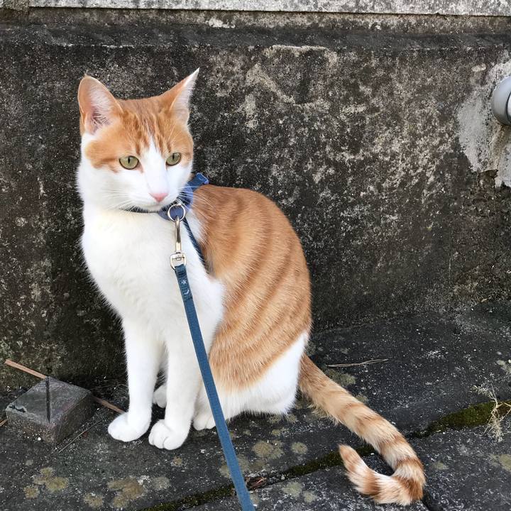 8aee831f e8f6 4d95 985d 419c46cb6ded 1516426694391