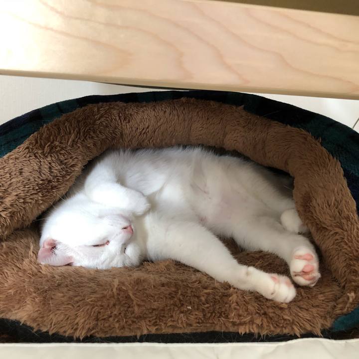 8aeeee4b d166 4c81 a50b d4f374010498 1538915375845