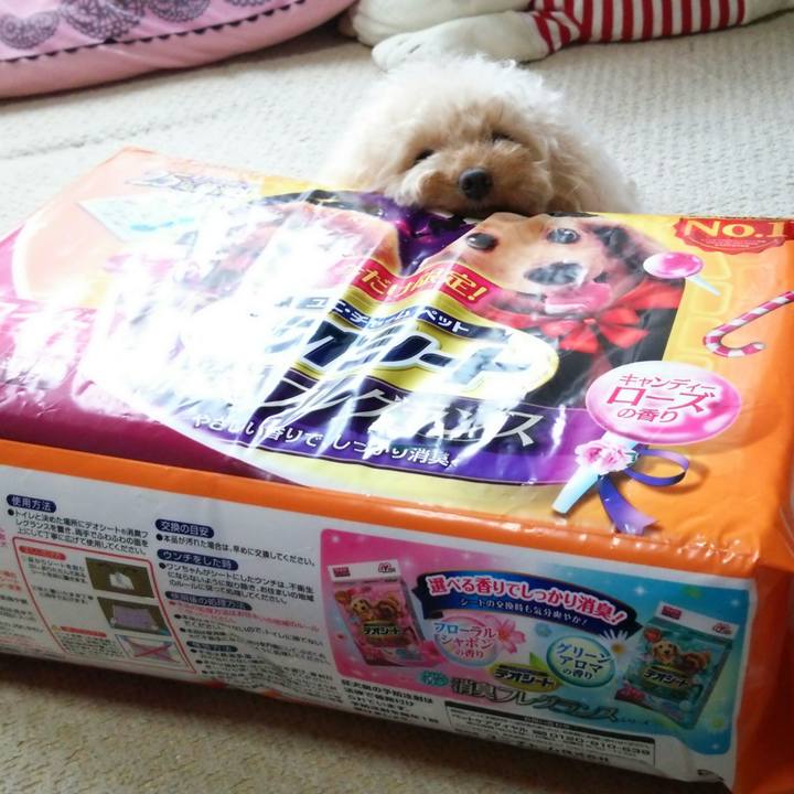 8aeefa5f 6613 40b2 a36f f14f501223dd 1517035429080