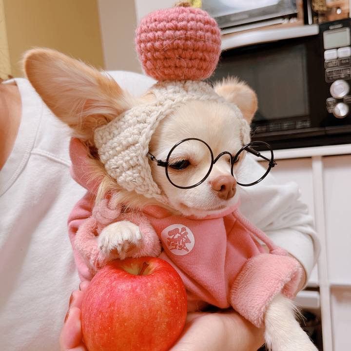 8aef0bba 762d 430b 8a72 77985558f4b8 1669034580925