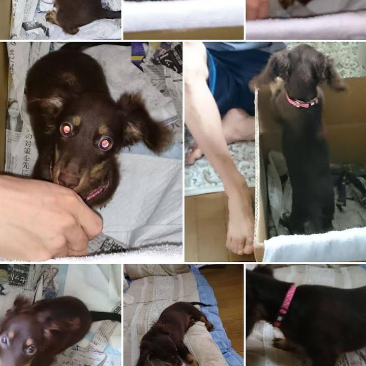 8aef0ee6 1e0f 4c1a 90b7 5f652a3388b2 1764366126137