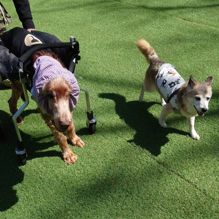 8aef3b96 0ffb 44da 9282 ad544fbc7431 1746261238903