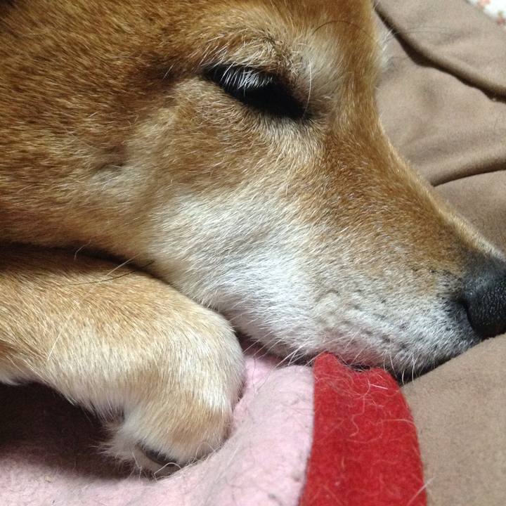 8aef7155 6a95 4c95 9425 a1550981f8c6 1523794558371