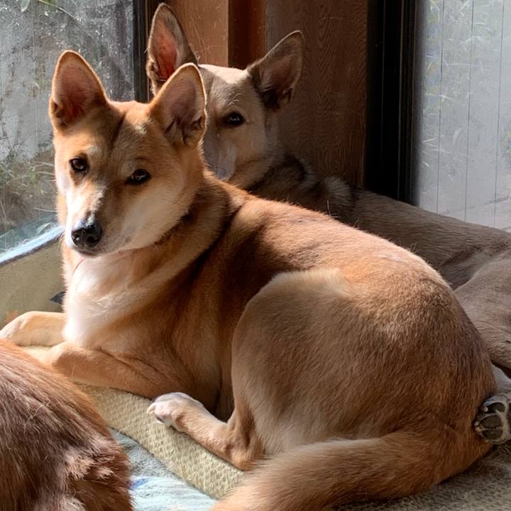 8aef77b7 b94a 468b 93cc fdd2fda9b157 1609254940443