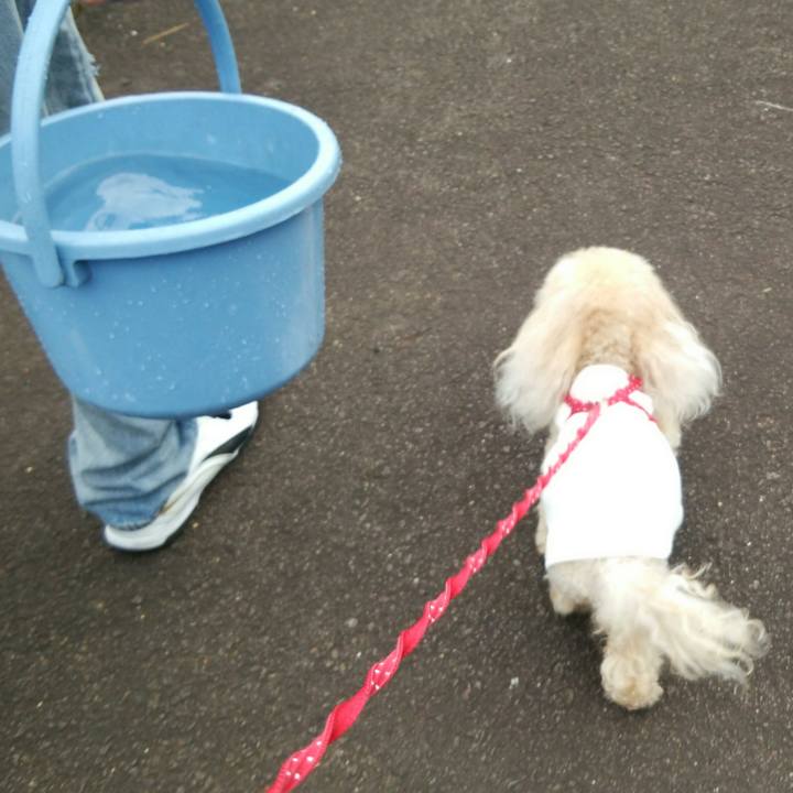 8aef941b d891 49b3 bd40 495b2940e9bc 1537180188783