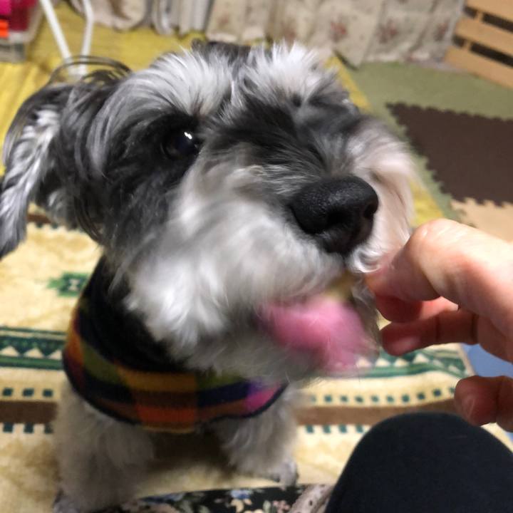 8aefa86c 4878 4816 94ae 588a2950bd65 1670334777002