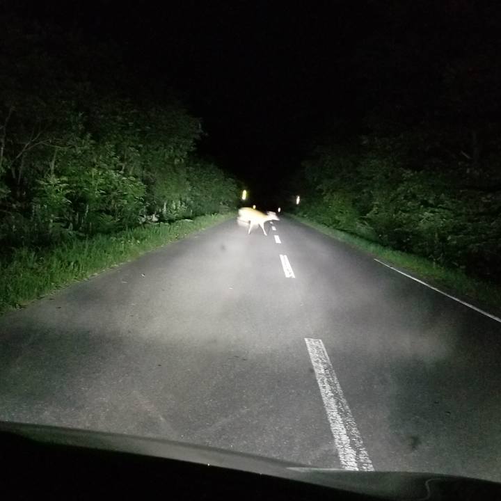 8aefe093 9c5e 4cdb 8991 c12fced99cdd 1657550173529