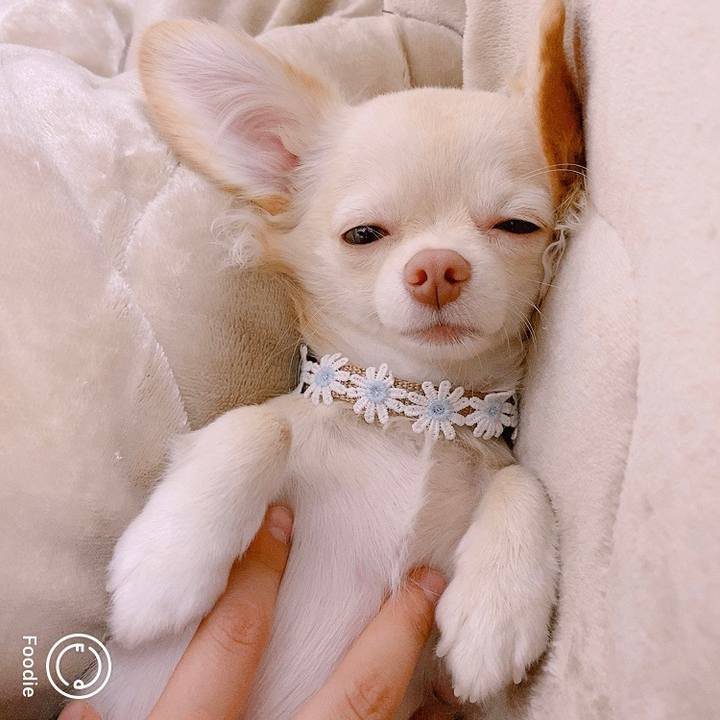 8af06df6 db1b 4f27 9596 797fa24a5a83 1605521087135