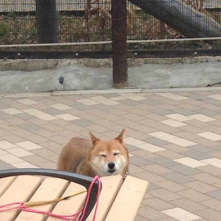 8af080e5 b537 4efe 9817 36718931a80c 1519194474891