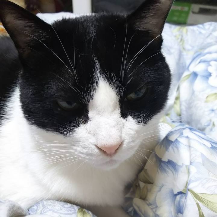 8af0ab52 03b9 4137 8720 c8c6d210379f 1578952403430